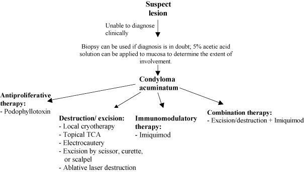External Genital Warts (Pharmacist Edition) - image
