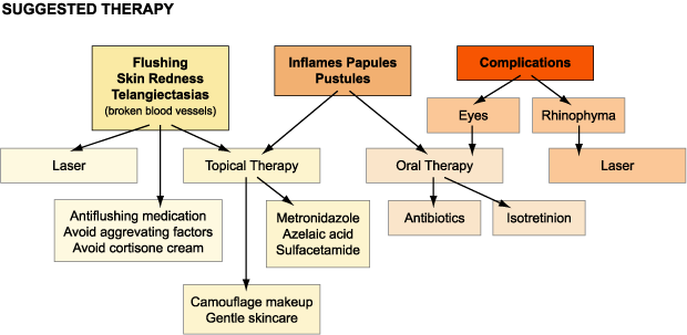 Rosacea Treatment - Suggested Therapy