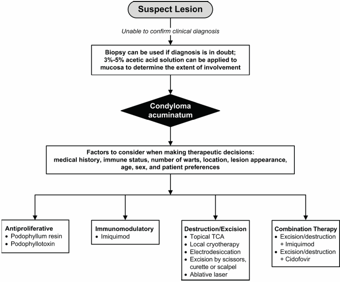 A Review of Therapeutic Options for Genital Warts (Pharmacist Edition) - image