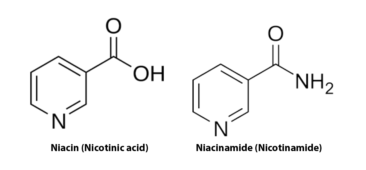 Chemical structures of the two main forms of vitamin B3