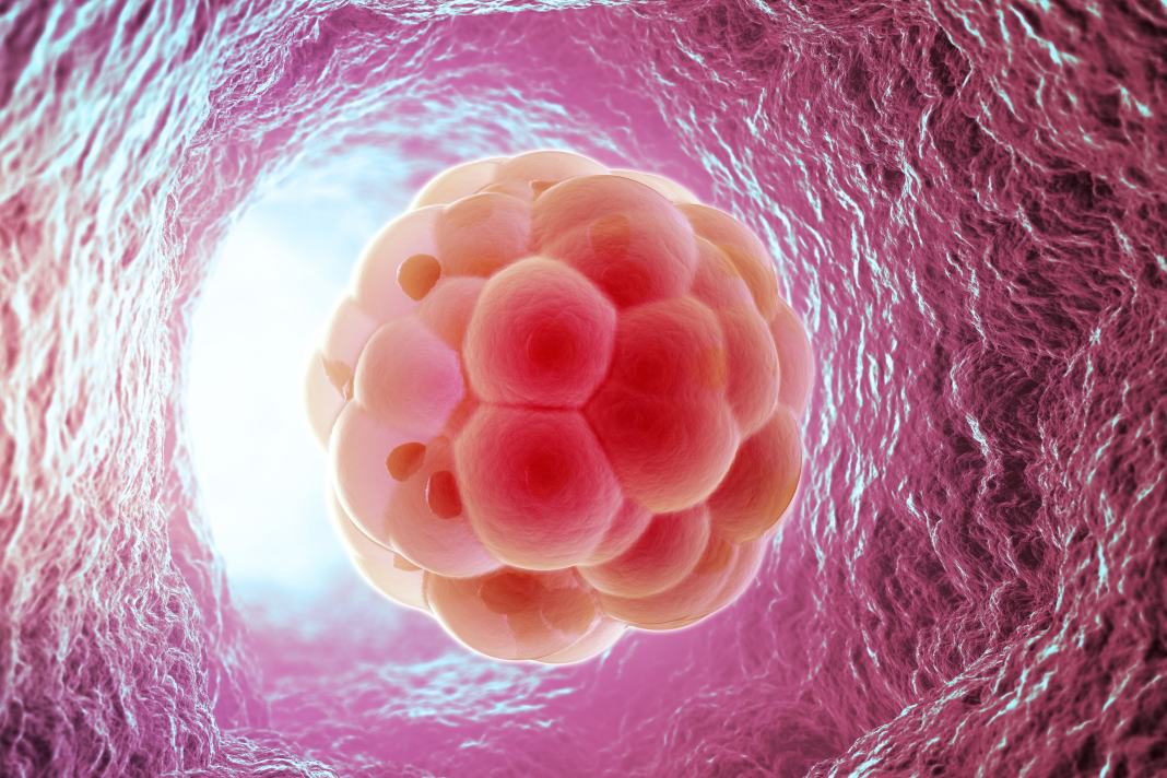 A Review of Brodalumab