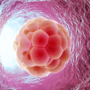 A Review of Brodalumab
