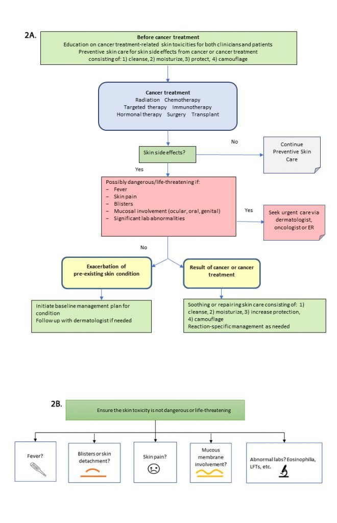 CaSMO Management of Cutaneous Toxicities Associated with Immune Checkpoint Inhibitors: A Practical Primer - image