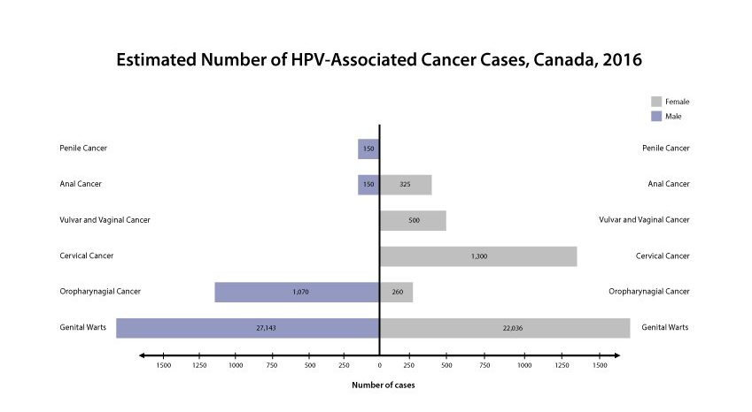 Higher Incidence of HPV-Driven Cancers in Males Calls for an Update to Current HPV Vaccination Guidelines and Implementation - image