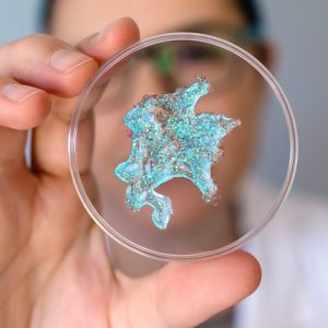 Lebrikizumab concept