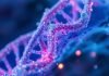 Nanodermatology concept, skin DNA