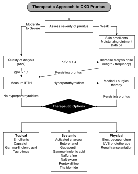 Pruritus: Control of Itch in Patients Undergoing Dialysis - image