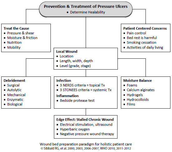 Prevention and Treatment of Pressure Ulcers - image